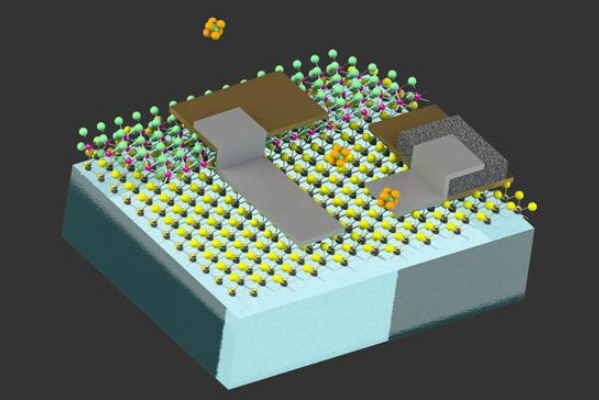 科学家研制新型自动力机器人和人类卵细胞一般大小