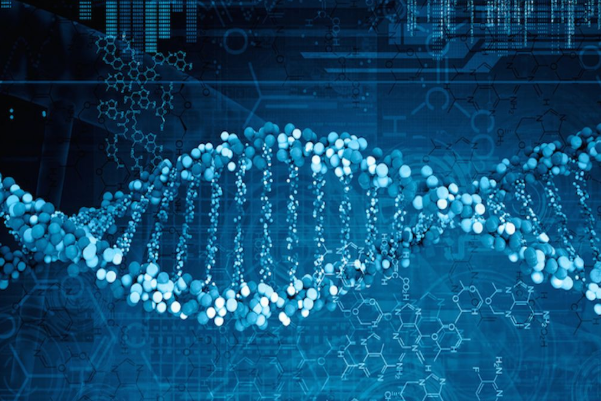 科学家研究发现基因或是决定人类成功与否的关键